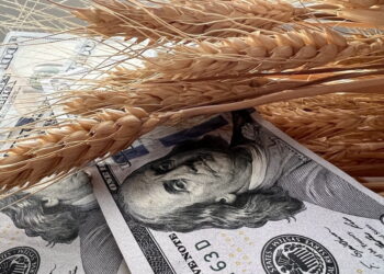 العقود الآجلة للقمح تغلق تعاملات الإثنين على ارتفاع بفعل تصاعد التوترات في منطقة البحر الأسود