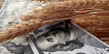 العقود الآجلة للقمح