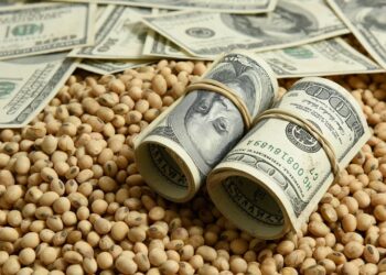 العقود الآجلة لفول الصويا تغلق منخفضة في أولى جلسات الأسبوع