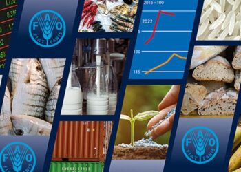 مؤشر الفاو لأسعار الحبوب ينخفض بنسبة 1.8% في مايو