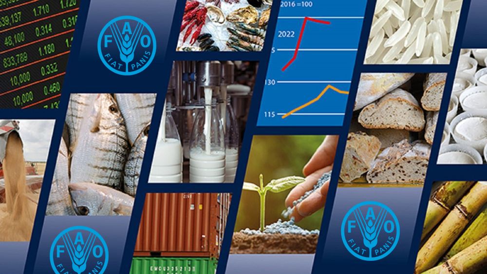 مؤشر الفاو لأسعار الحبوب ينخفض بنسبة 1.8% في مايو