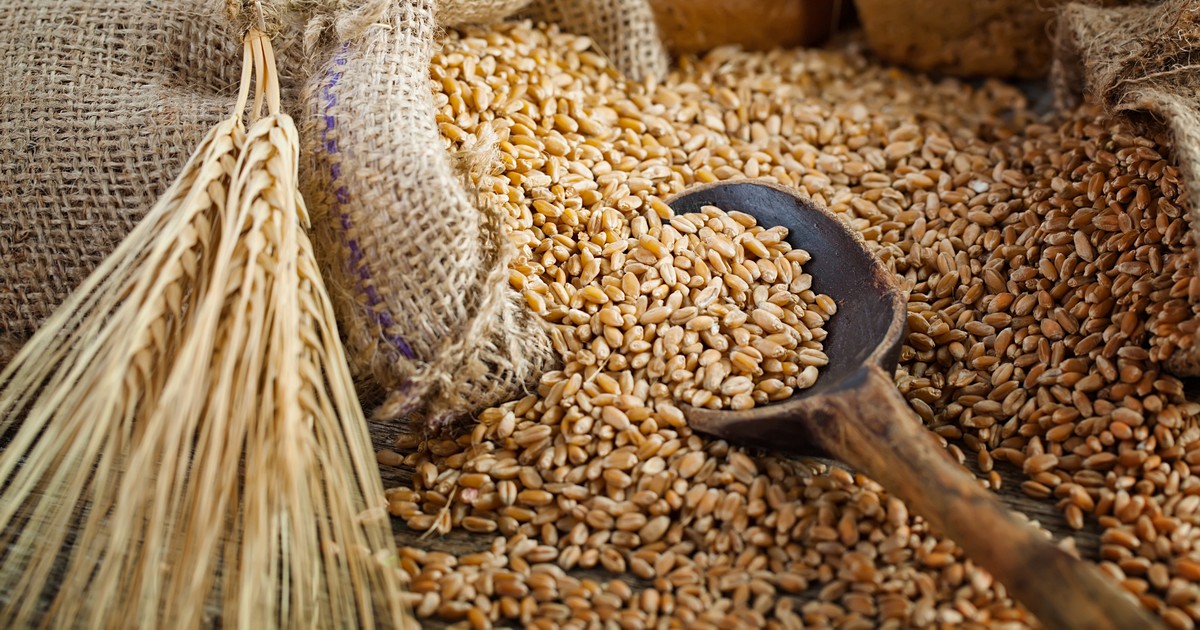 روساجروترانس ترفع توقعاتها لصادرات القمح الروسي في يونيو