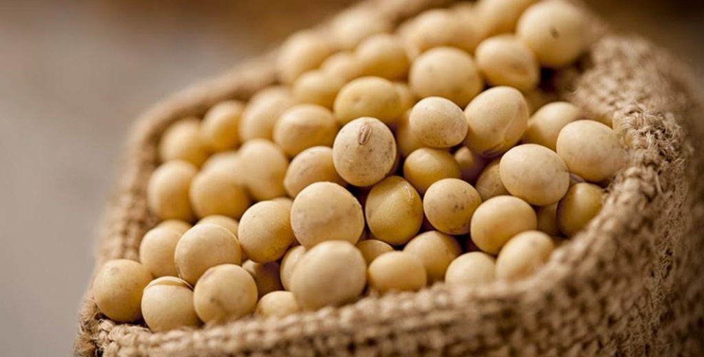 وزارة الزراعة الأمريكية تعلن عن مبيعات جديدة من فول الصويا لمصر