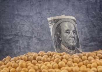 ارتفاع العقود الآجلة لفول الصويا بشكل طفيف على خلفية المحادثات الناجحة بين الولايات المتحدة والصين