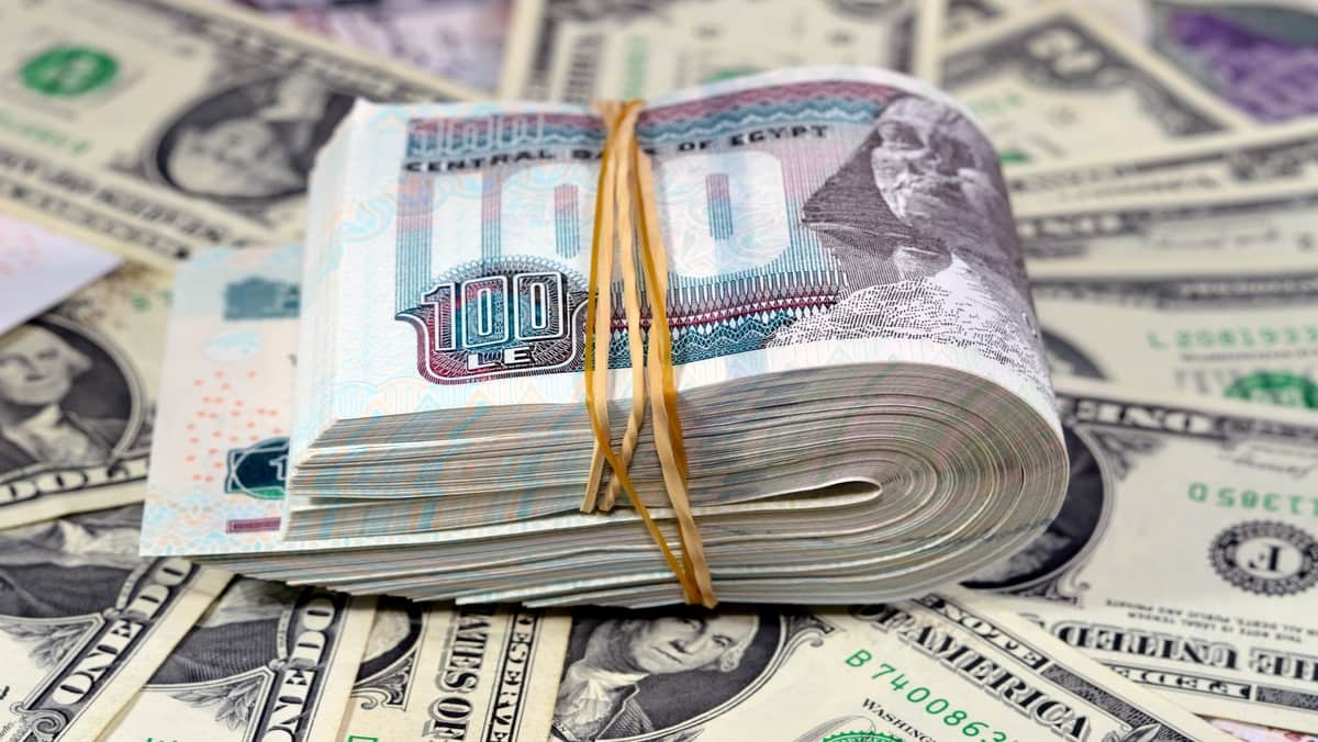 49.59 للشراء.. سعر الدولار أمام الجنيه في بداية تعاملات اليوم الثلاثاء
