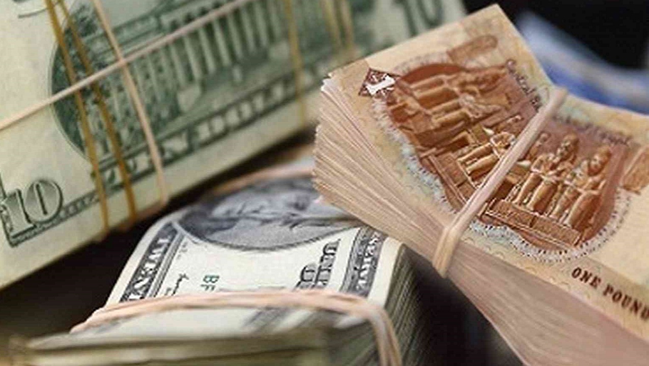 سعر الدولار والعملات أمام الجنيه في بداية تعاملات اليوم الأربعاء