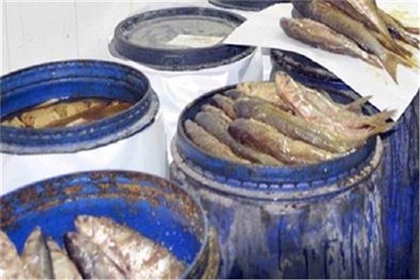 تموين كفر الشيخ: ضبط طن أسماك مملحة غير صالحة للاستهلاك الآدمي