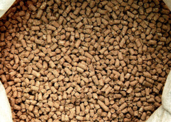 أسعار شركات أعلاف الدواجن اليوم السبت فى السوق المصري