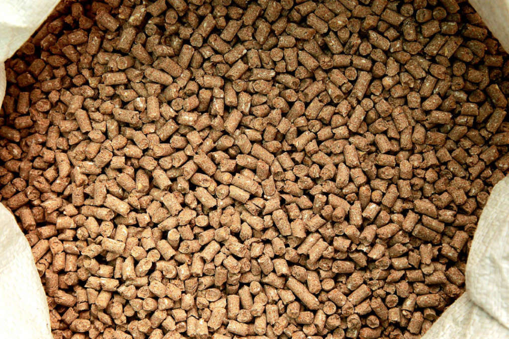 أسعار شركات أعلاف الدواجن اليوم السبت فى السوق المصري