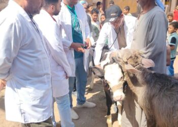 "الزراعة" تطلق 214 قافلة بيطرية مجانية في 176 قرية خلال يونيو الماضي