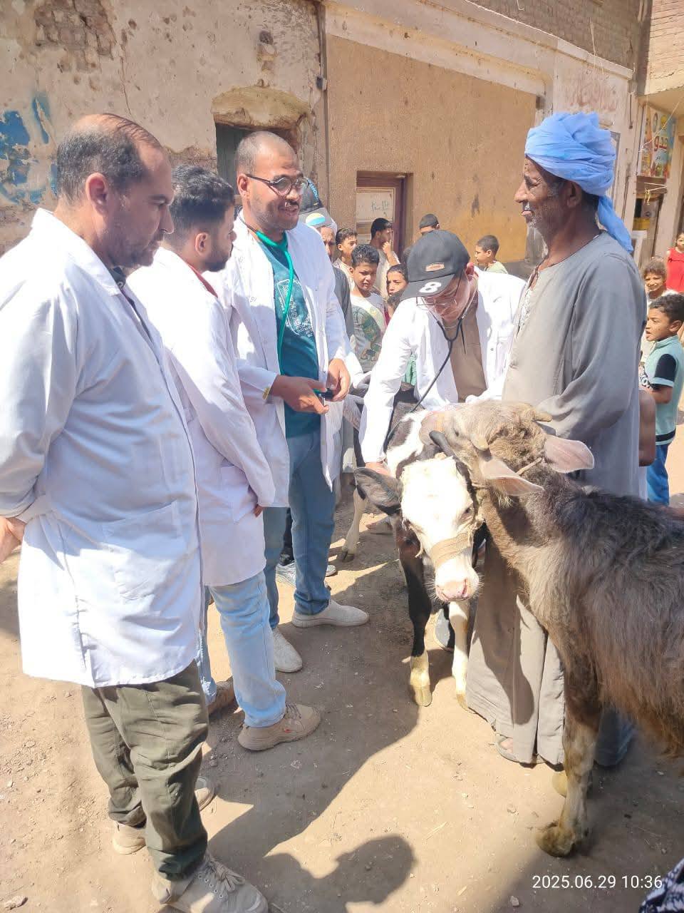 "الزراعة" تطلق 214 قافلة بيطرية مجانية في 176 قرية خلال يونيو الماضي