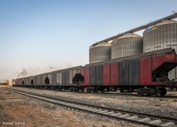 ميناء دمياط يستقبل 16842 طن ذرة خلال 24 ساعة