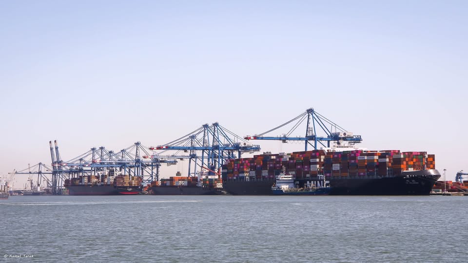 ميناء دمياط يستقبل 10260 طن ذرة و 3271 راس ماشية