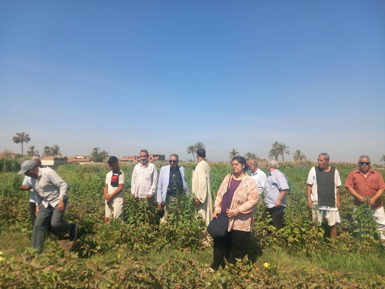 "الزراعة" تنظم 470 ندوة إرشادية وتدريبية لدعم المزارعين بجميع المحافظات الأسبوع الماضي