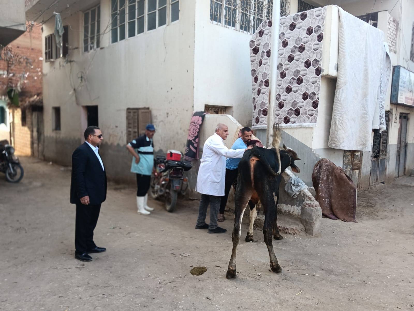 تحصين الماشية