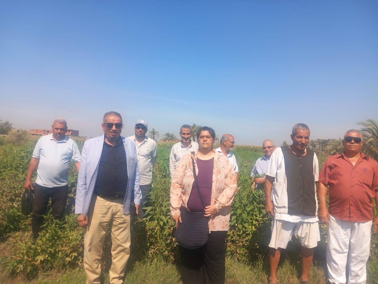 "الزراعة" تنظم 470 ندوة إرشادية وتدريبية لدعم المزارعين بجميع المحافظات الأسبوع الماضي