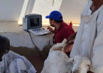 "بحوث الصحراء" يطبق لأول مرة تقنية السونار لتعزيز انتاجية الثروة الحيوانية بحلايب والشلاتين