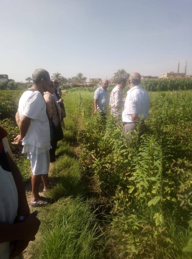 "الزراعة" تنظم 470 ندوة إرشادية وتدريبية لدعم المزارعين بجميع المحافظات الأسبوع الماضي