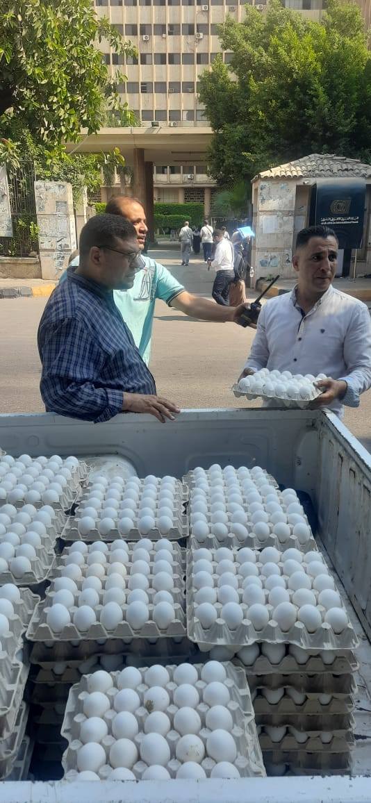 بأسعار مخفضة ..."الزراعة" تطلق منافذ متنقلة لبيع منتجاتها الغذائية للمواطنين في محافظة الجيزة