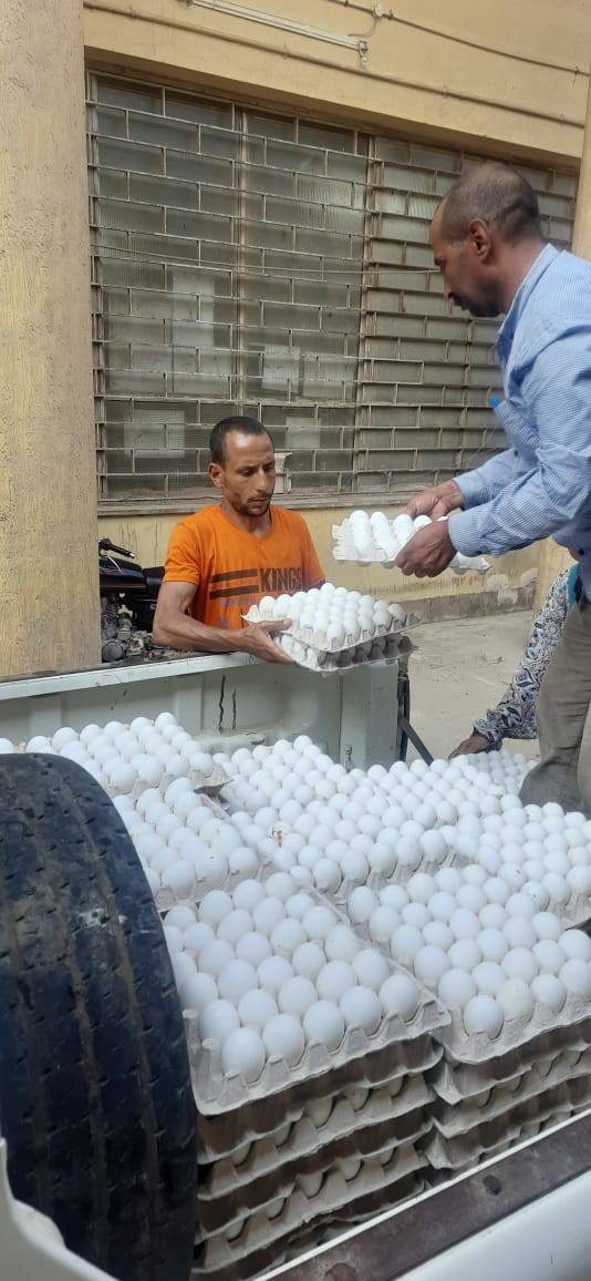 بأسعار مخفضة ..."الزراعة" تطلق منافذ متنقلة لبيع منتجاتها الغذائية للمواطنين في محافظة الجيزة