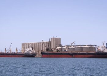 ميناء دمياط يستقبل 25265 طن ذرة و 4282 طن قمح