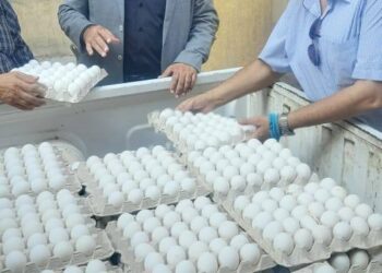 "الزراعة" تطلق منافذ متنقلة لبيع منتجاتها الغذائية للمواطنين بأسعار مخفضة في محافظة الجيزة