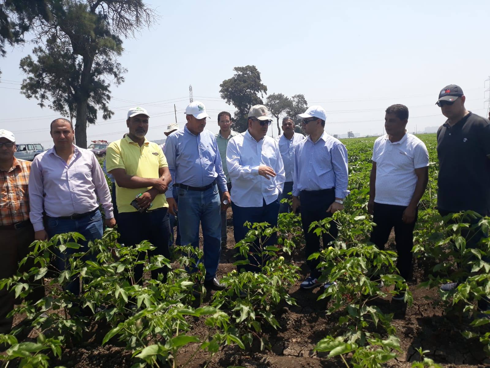 البحوث الزراعية تتابع جهود مكافحة دودة الحشد الخريفية وحقول الذرة وفول الصويا