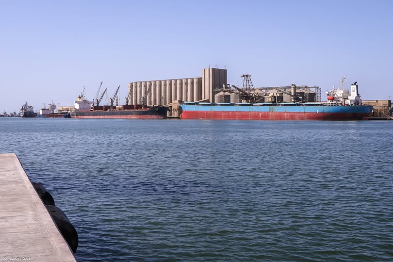 ميناء دمياط يستقبل 4500 طن ذرة و 2301 طن قمح