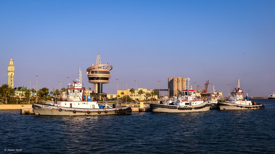 بدون ذرة أو صويا.. ميناء دمياط يستقبل 27938 طن بضائع