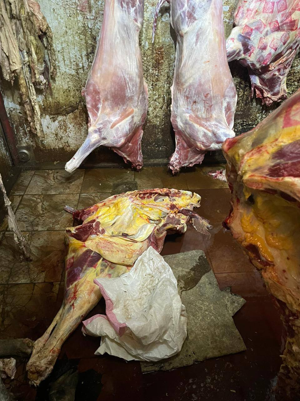 "الزراعة" تضبط أكثر من 120 طن لحوم غير صالحة للاستخدام الآدمي خلال يوليو