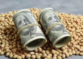 أسعار فول الصويا تُظهر انخفاضات متواضعة يوم الثلاثاء وسط أنباء عن محادثات تجارية مع الصين