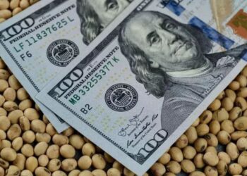 انخفاض العقود الآجلة لفول الصويا وسط توقعات إنتاج قوية في الولايات المتحدة