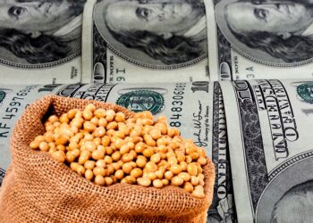 انخفاض العقود الآجلة لفول الصويا يوم الثلاثاء وسط ارتفاع تصنيفات المحاصيل الأمريكية
