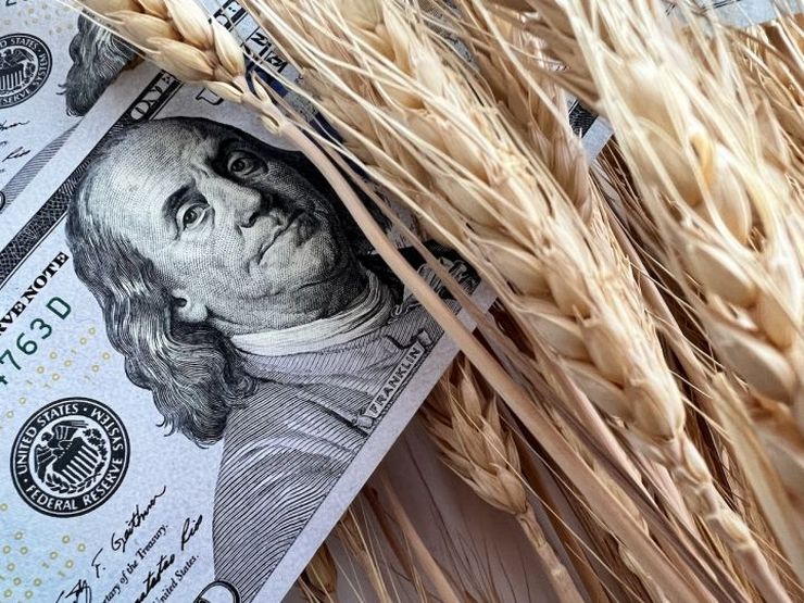 أسعار القمح في أوكرانيا تستمر في الارتفاع رغم انخفاض أسعار البورصة بنسبة 3.9-8.7٪ خلال الأسبوع