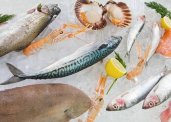 أسعار السمك