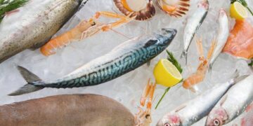 أسعار السمك