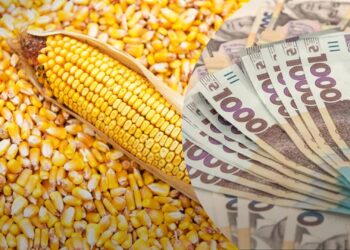 العقود الآجلة للذرة ترتفع وسط مخاوف من تهديد الحرارة المفرطة لنمو المحاصيل الأمريكية