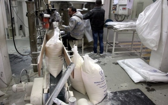 مطاحن مصر الوسطى