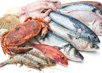 البوري يتراجع 5 جنيهات.. أسعار السمك اليوم الأحد في سوق العبور