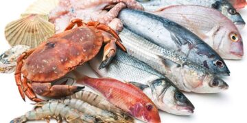 أسعار السمك