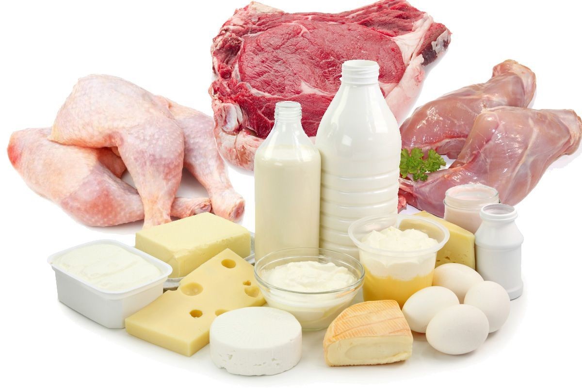 الفاو تتوقع ارتفاع الطلب العالمي على اللحوم والألبان والأسماك حتى عام 2034