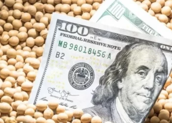 ارتفاع العقود الآجلة لفول الصويا في بورصة شيكاغو للأوراق المالية بشكل حاد يوم الأربعاء وسط شائعات عن تقدم في محادثات التجارة الأمريكية مع الصين