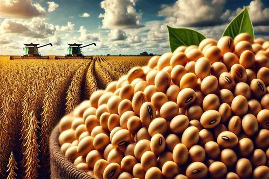أبيوف ترفع توقعاتها لصادرات البرازيل من فول الصويا إلى 109 مليون طن هذا الموسم