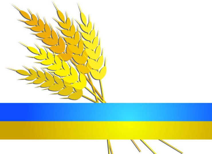 صادرات الحبوب الأوكرانية تسجل 998 ألف طن للموسم الجديد