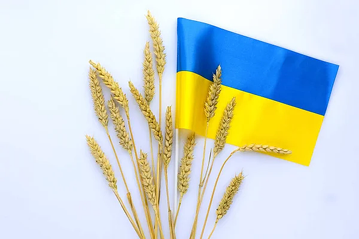 صادرات الحبوب الأوكرانية تسجل أكثر من 700 ألف طن منذ بداية يوليو