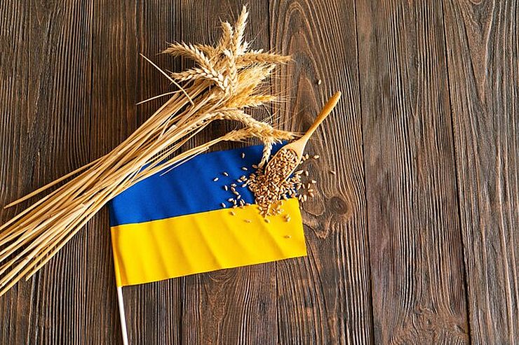 صادرات الحبوب الأوكرانية تتجاوز 200 ألف طن منذ بداية موسم 2025-2026