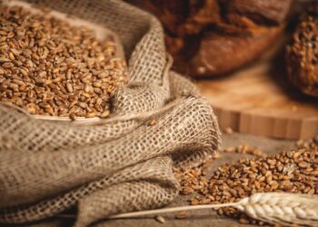 مخزونات القمح الفرنسية ترتفع إلى أعلى مستوياتها منذ 21 عاماً على الرغم من انتعاش الصادرات