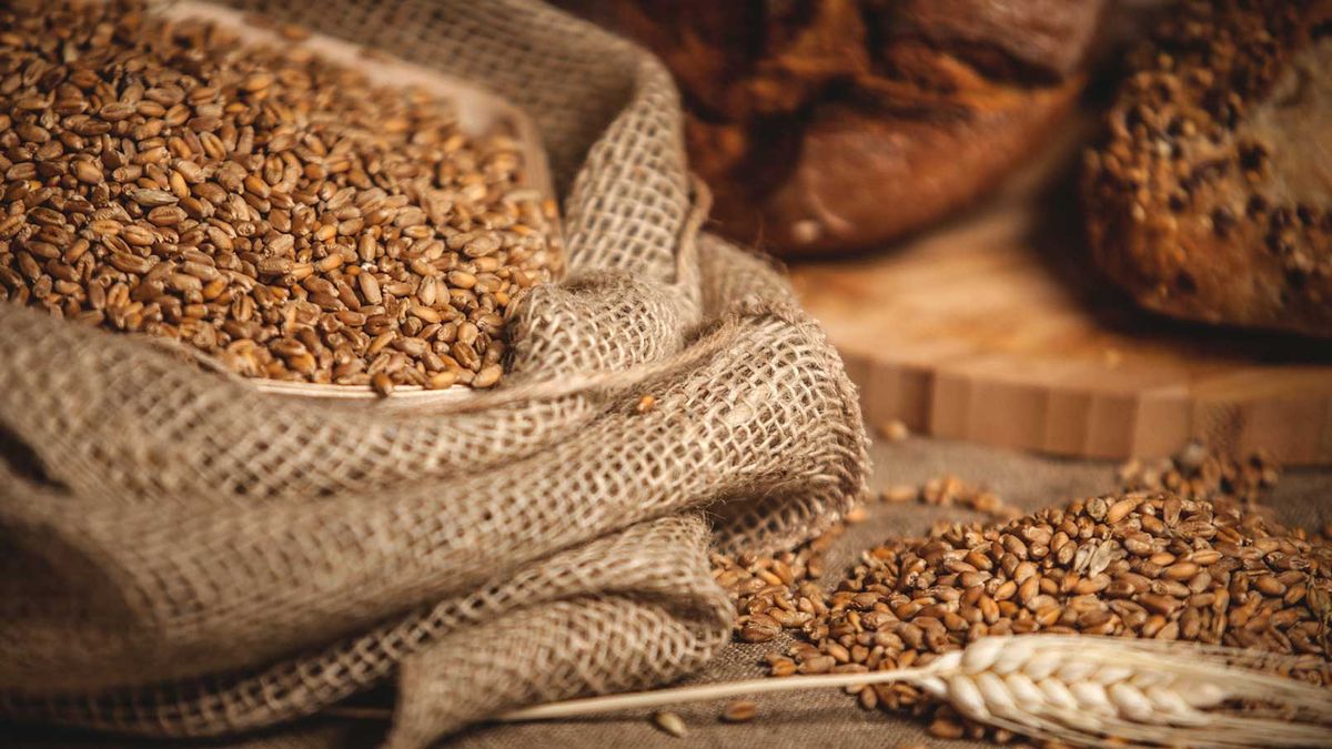 مخزونات القمح الفرنسية ترتفع إلى أعلى مستوياتها منذ 21 عاماً على الرغم من انتعاش الصادرات