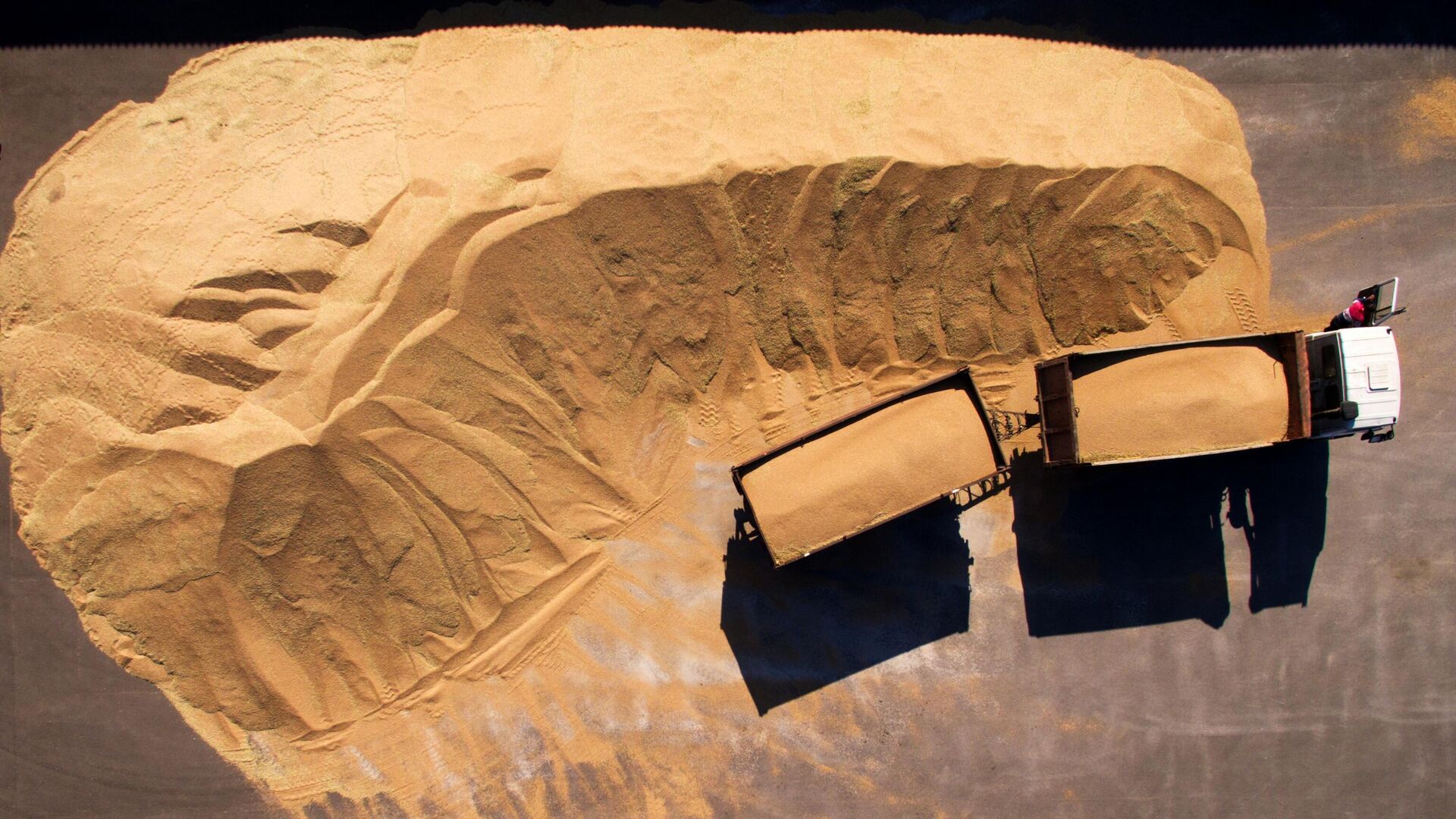 أسعار القمح الروسي ترتفع وتوقعات بتضاعف أحجام أغسطس تقريبا