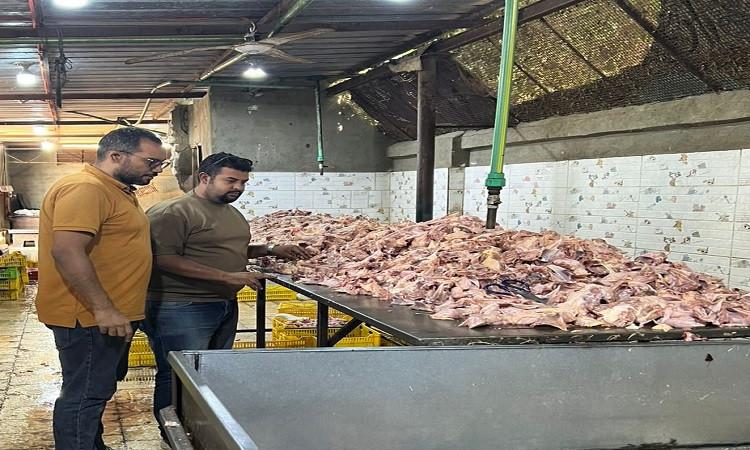 بيطري الجيزة: ضبط 13.5 طن لحوم ودواجن فاسدة